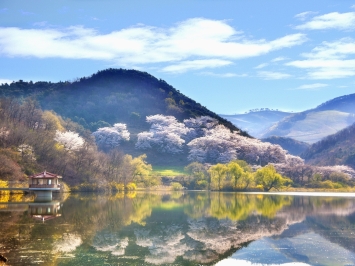 VSA 501 - Additional audit evidences for special items and events