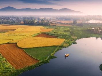 VSA 620 Using the work of an expert