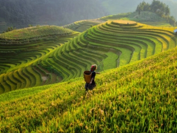 VAS 03 - Tangible fixed assets