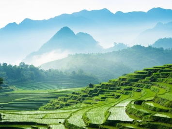 VSA 220 - Quality control of auditing activies