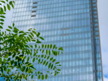 VSA 520 - Analytical procedures