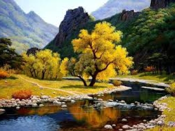 VSA 580 Management representations